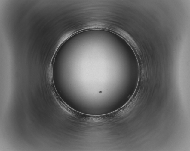 X0000116561242200912171403