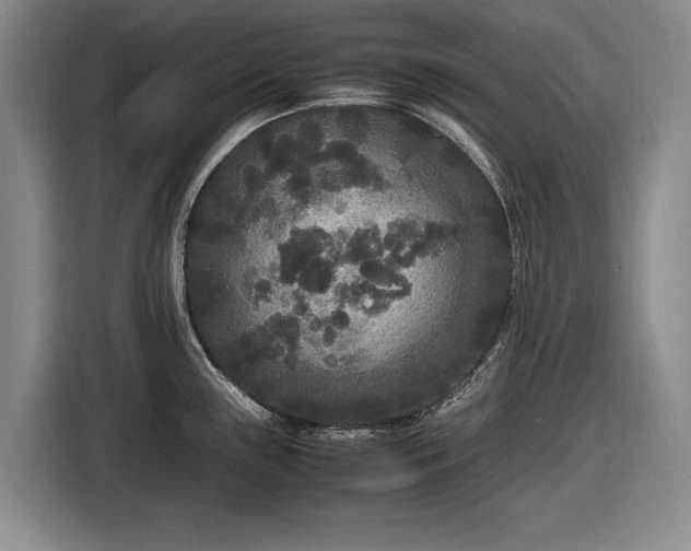 X0000116561243200912171403