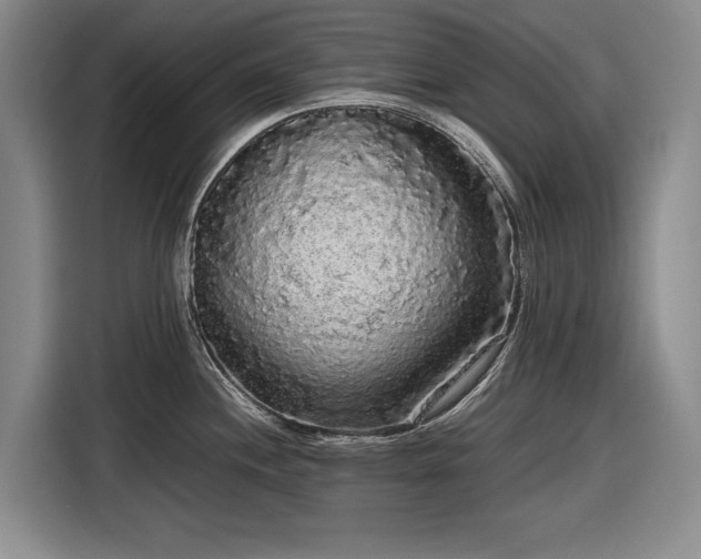 X0000116561244200912171403