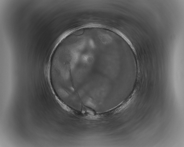 X0000116561245200912171403