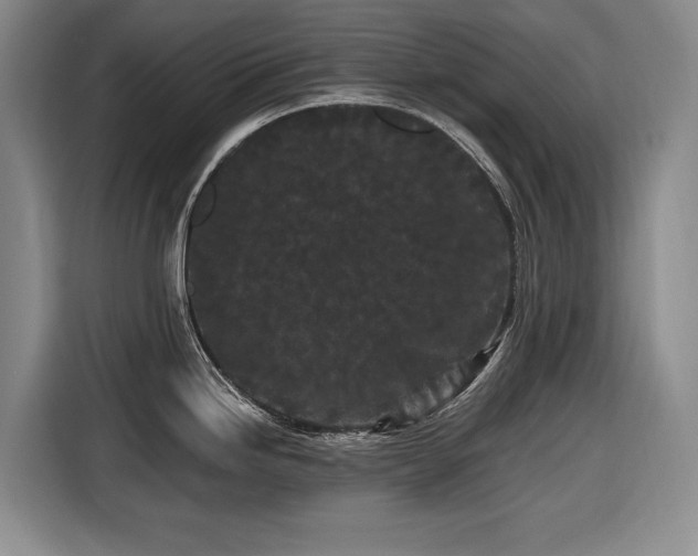 X0000116561246200912171403