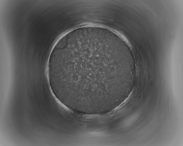 X0000116561247200912171403