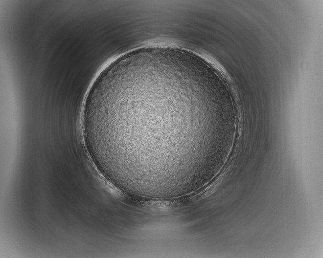 X0000116561248200912171403