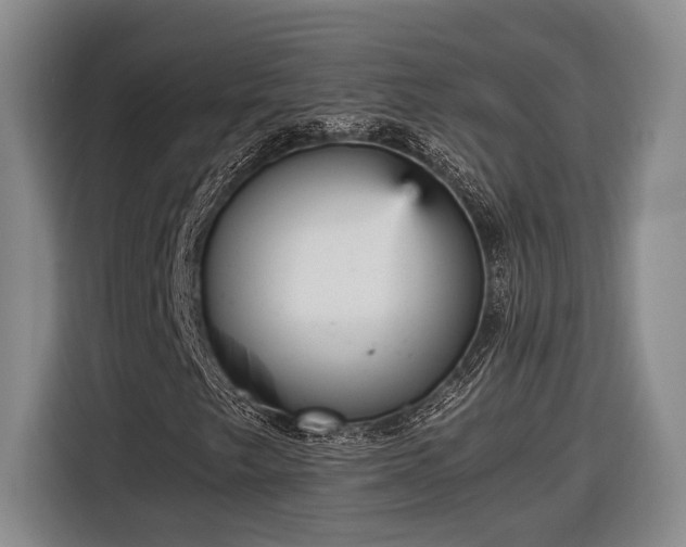 X0000116561249200912171402