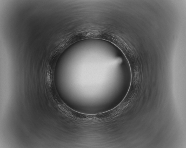 X0000116561250200912171402