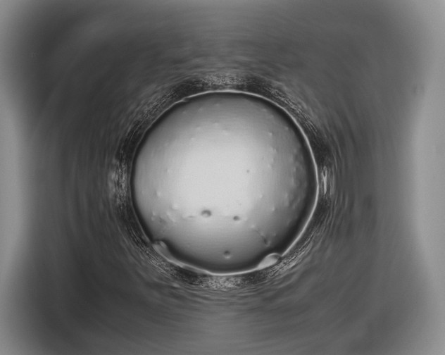 X0000116561251200912171402