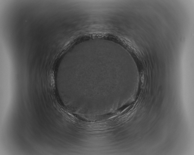 X0000116561252200912171402