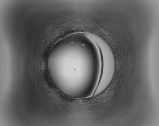 X0000116561253200912171402