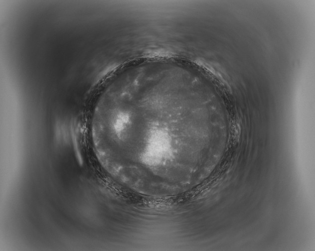 X0000116561254200912171402