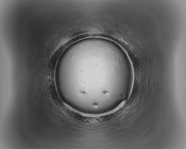 X0000116561255200912171402