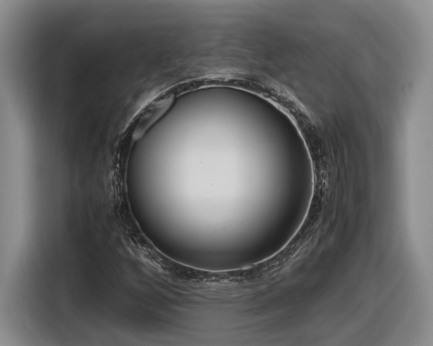 X0000116561256200912171402