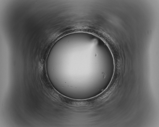 X0000116561257200912171402