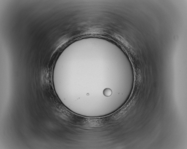 X0000116561258200912171402