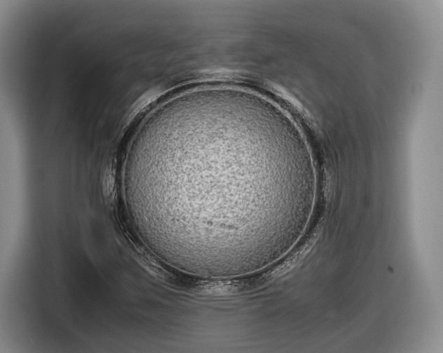 X0000116561259200912171402