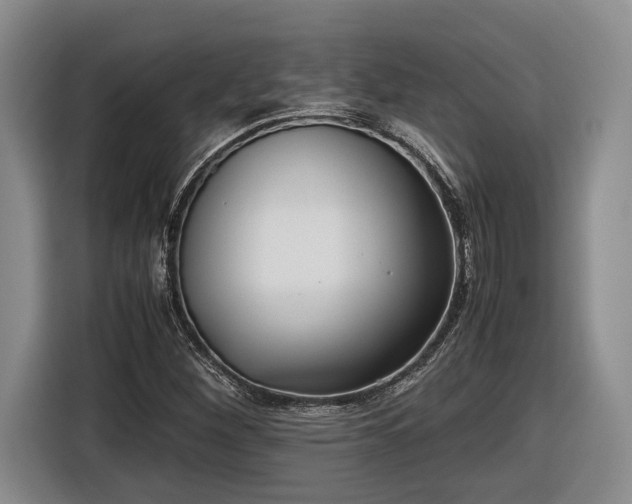 X0000116561260200912171402