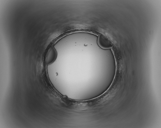 X0000116561261200912171402