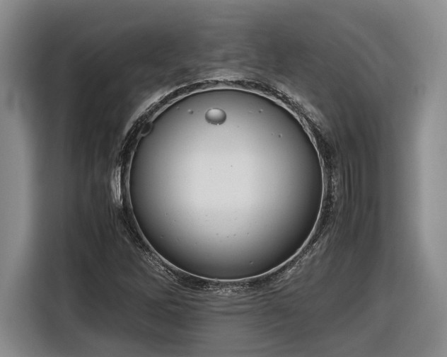 X0000116561262200912171402