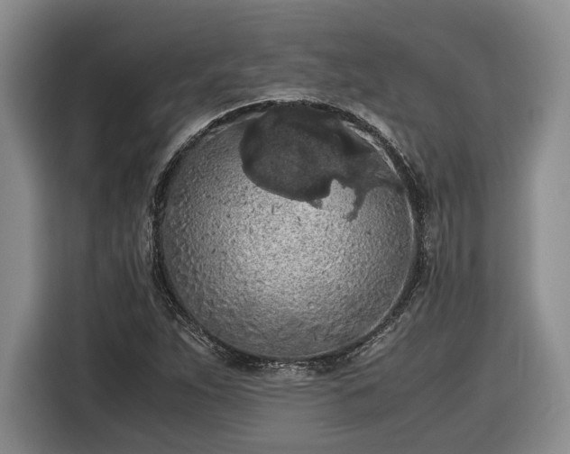 X0000116561263200912171402