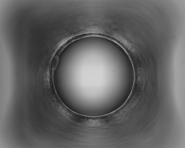 X0000116561264200912171402