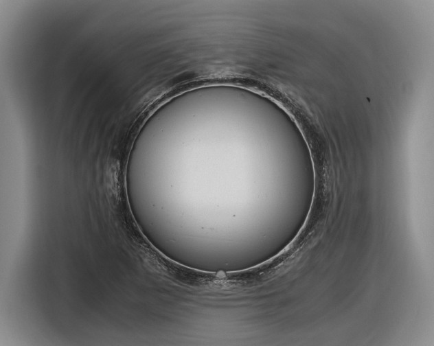 X0000116561265200912171402