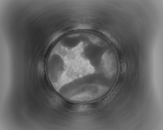 X0000116561266200912171402