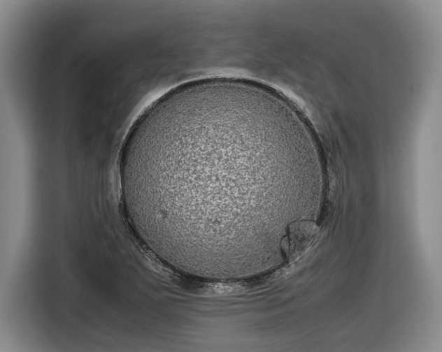 X0000116561271200912171402