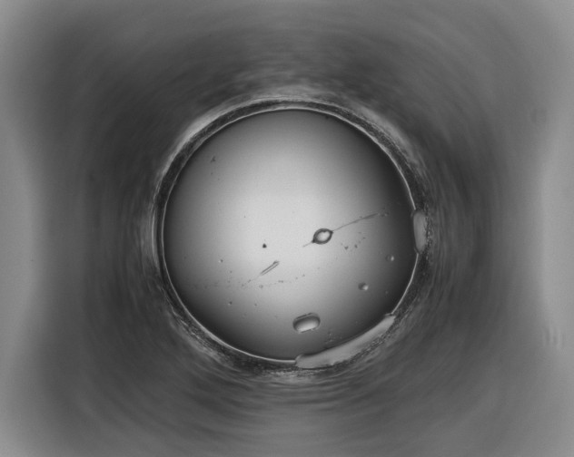 X0000116561272200912171402