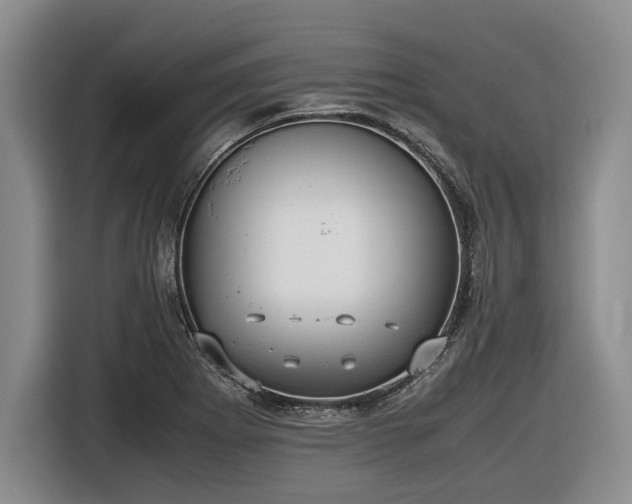 X0000116561273200912171402