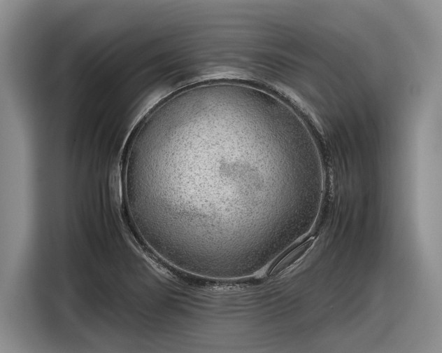 X0000116561274200912171402