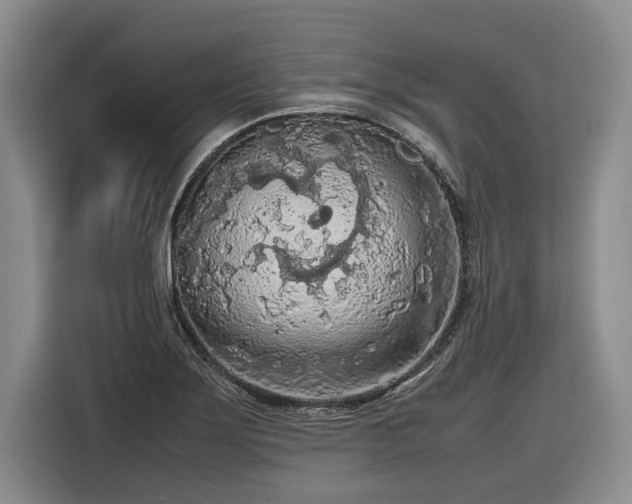 X0000116561275200912171402