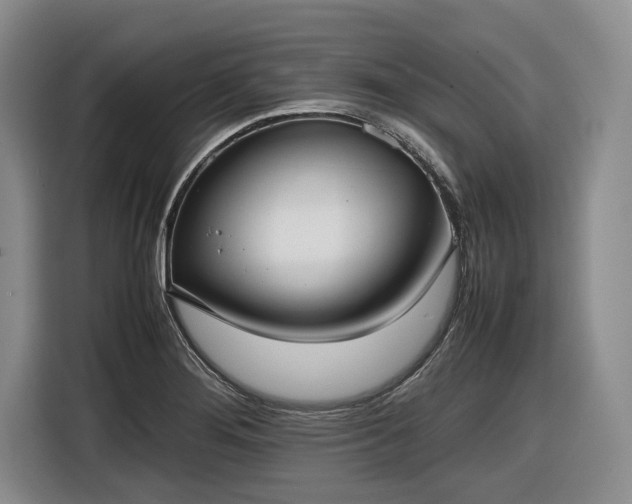 X0000116561276200912171402