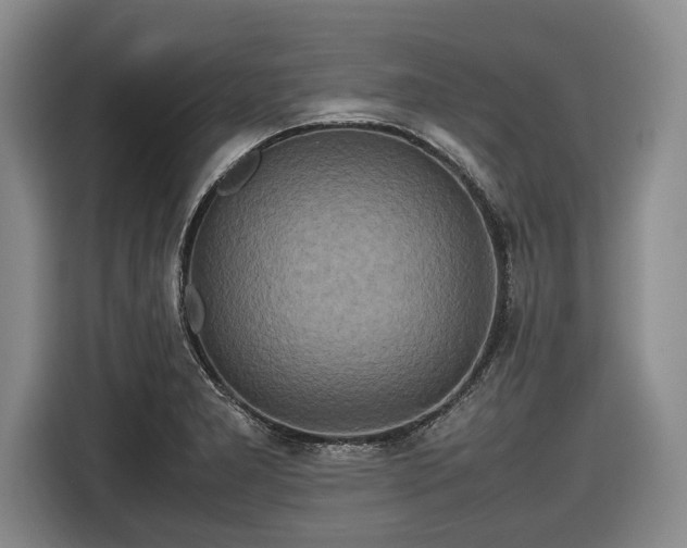 X0000116561277200912171402