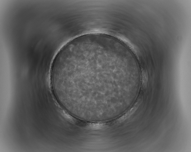 X0000116561278200912171402