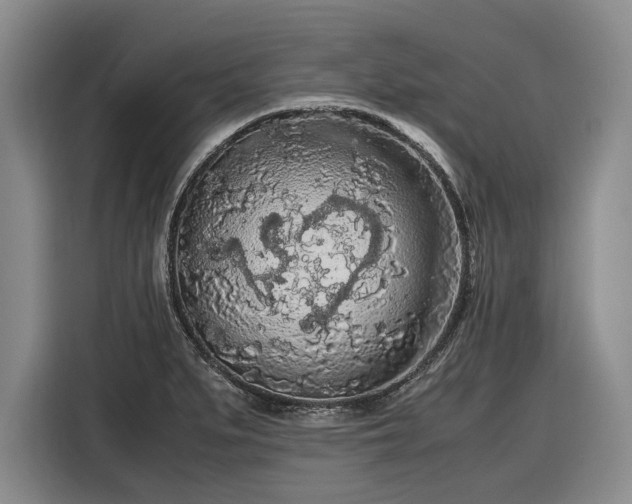 X0000116561279200912171402