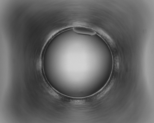 X0000116561280200912171402