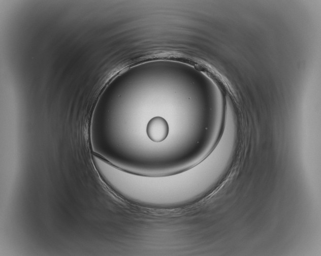 X0000116561281200912171402