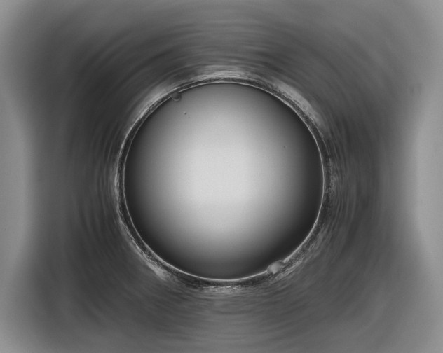 X0000116561282200912171402