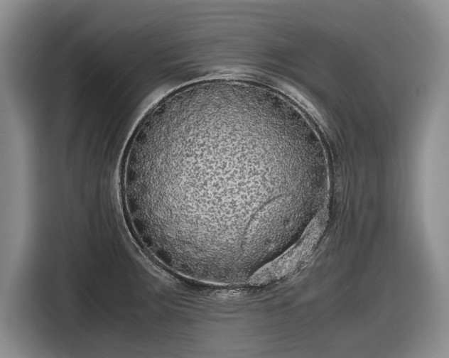 X0000116561283200912171402