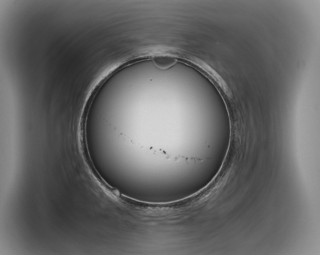 X0000116561285200912171402