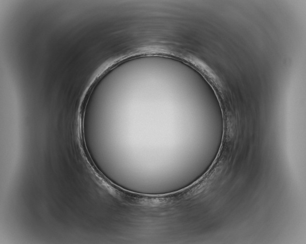 X0000116561286200912171402