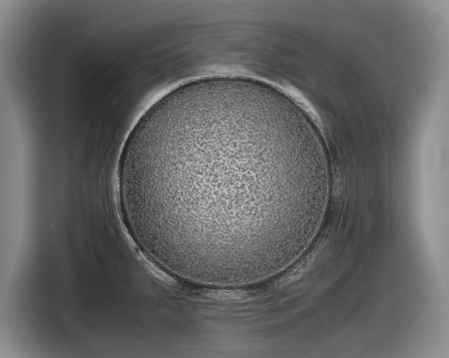 X0000116561287200912171402