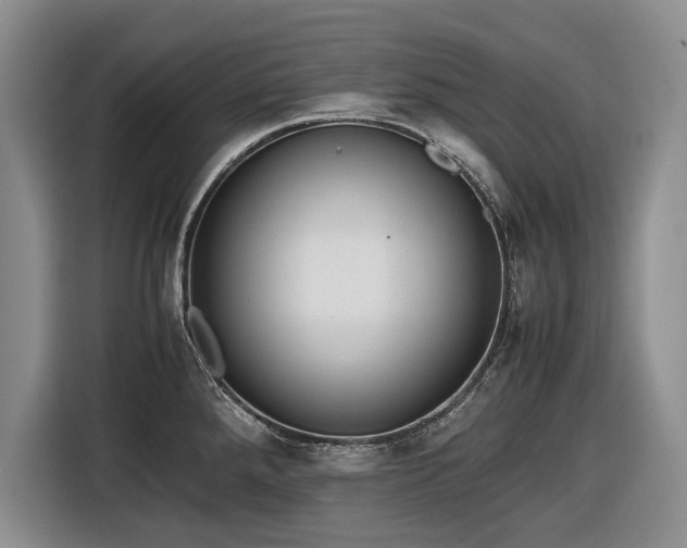 X0000116561288200912171402