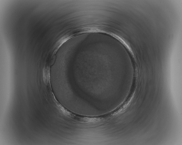 X0000116561289200912171402