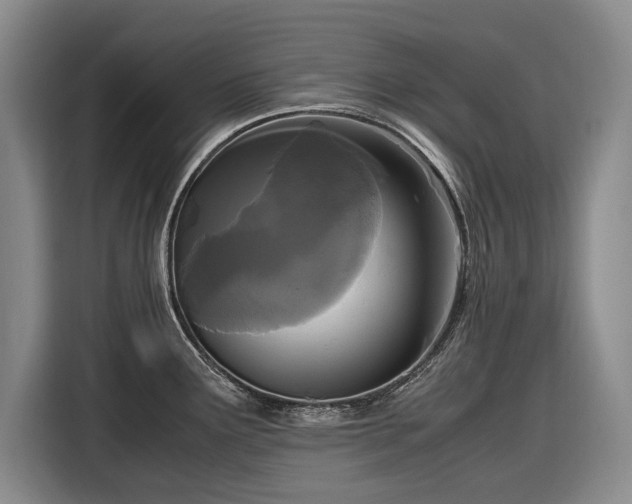 X0000116561291200912171402