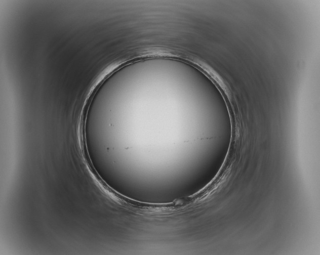 X0000116561293200912171402