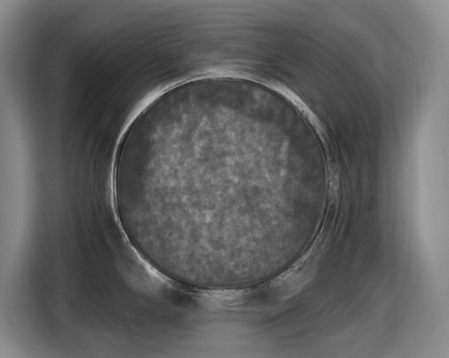 X0000116561294200912171402