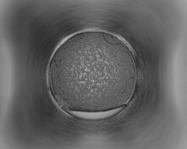 X0000116561295200912171402