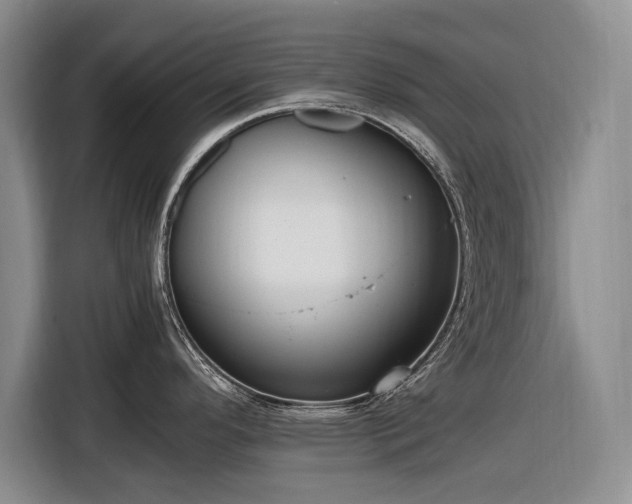 X0000116561296200912171402