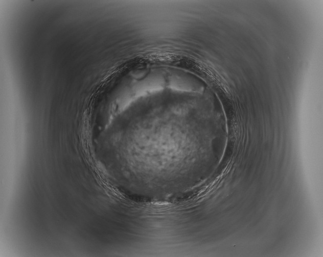 X0000116561297200912171401