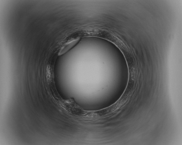 X0000116561298200912171401